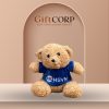 Gấu bông quà tặng thêu logo màu nâu áo xanh 25cm GB-02