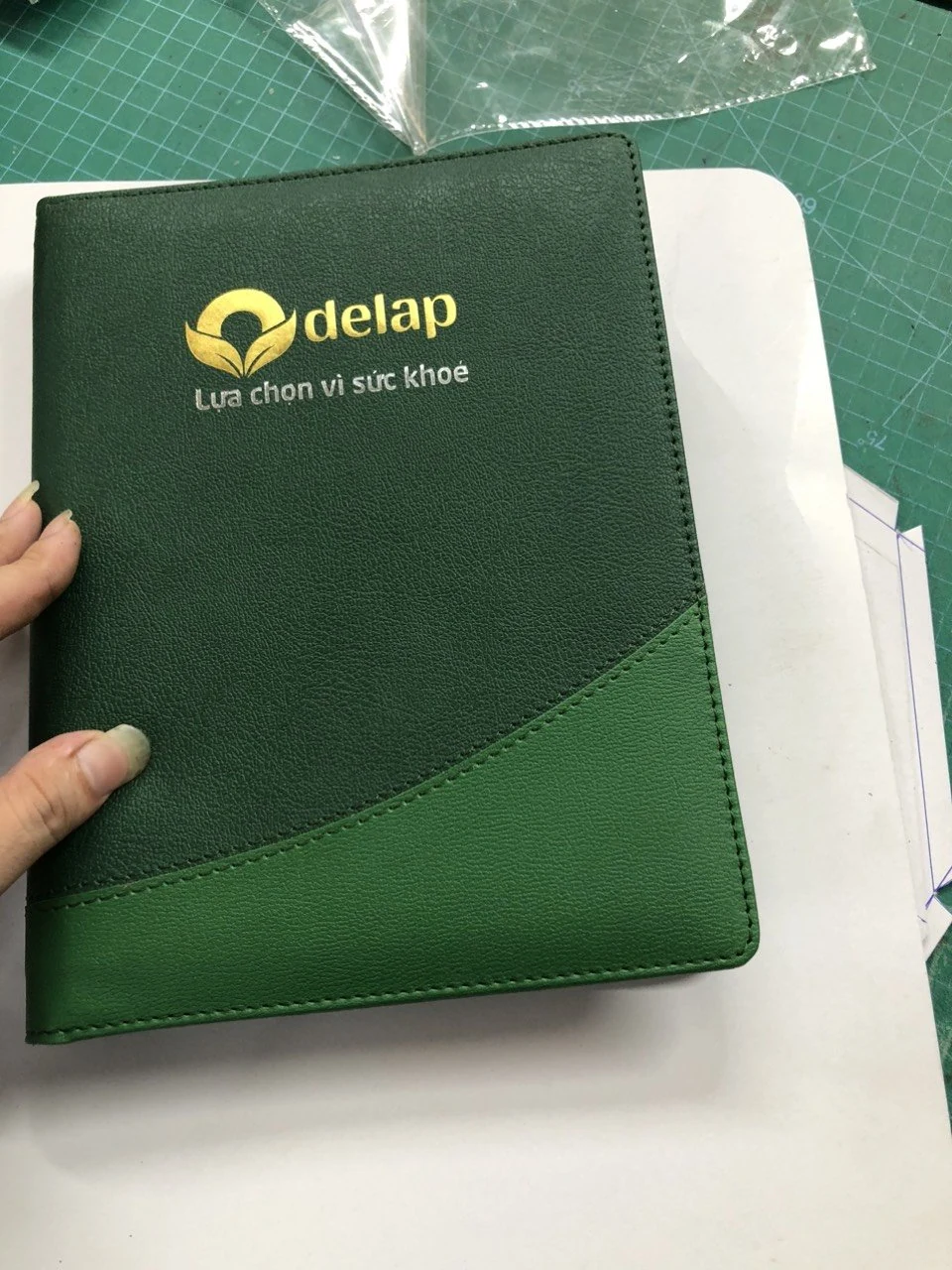 Ảnh chụp bìa sổ xanh có chữ Delap và dòng Lựa chọn vì sức khỏe trên nền cắt mẫu