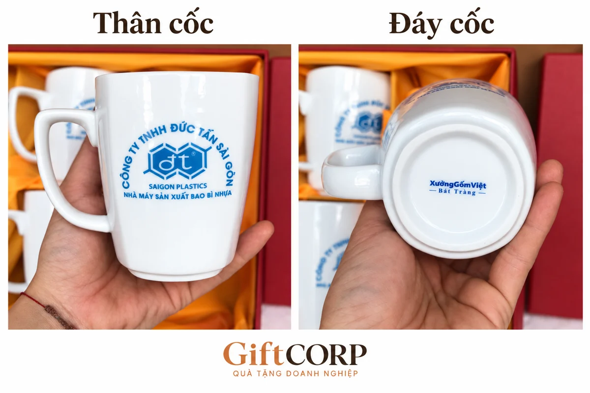 Ảnh ghép hai góc cốc trắng: nhận diện trên thân và dấu nguồn trên đáy